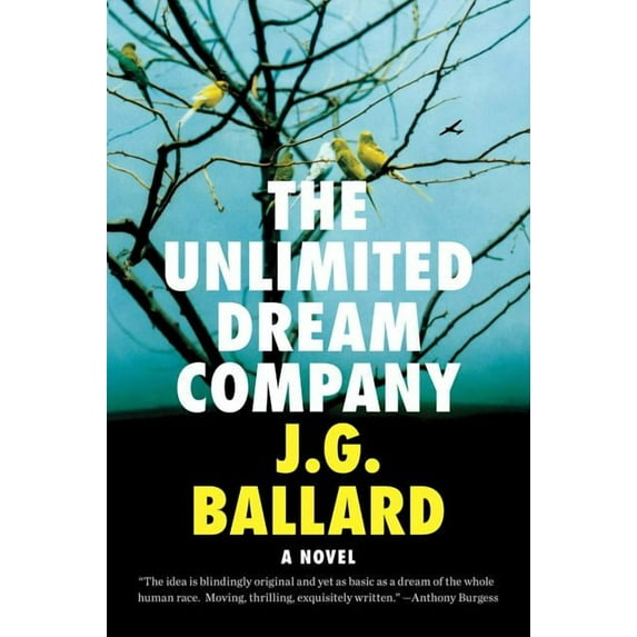 Unlimited Dream Company, (Paperback)