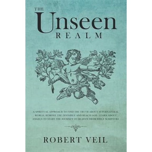 The Unseen Realm (Paperback)