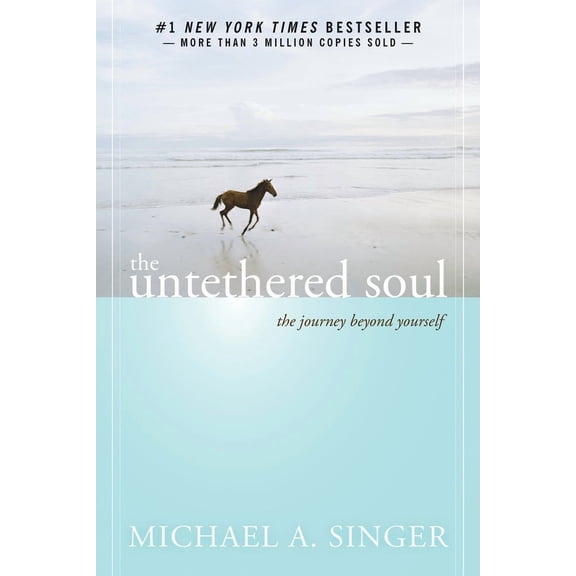 Pre-Owned The Untethered Soul: The Journey Beyond Yourself by Michael A. Singer (Paperback)