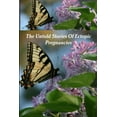 thumbnail image 1 of The Untold Stories Of Ectopic Pregnancies, (Paperback), 1 of 1