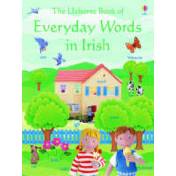 Pre-Owned The Usborne Book of Everyday Words in Irish (Paperback) 0746037805 9780746037805