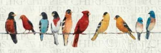 The Usual Suspects - Birds on a Wire Canvas Art - Avery Tillmon (12 x 36)