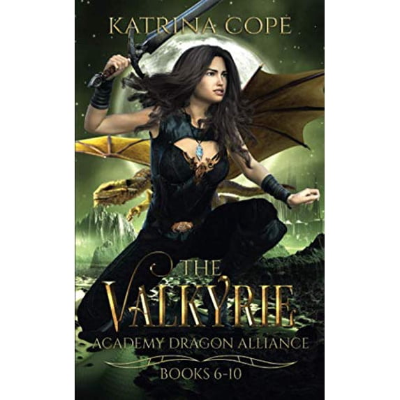 Pre-Owned The Valkyrie Academy Dragon Alliance: Books 6 - 10: Omnibus of Ambushed, Warned, Abducted, Besieged, & Deceived (Asgard's Dragon Rider) Paperback