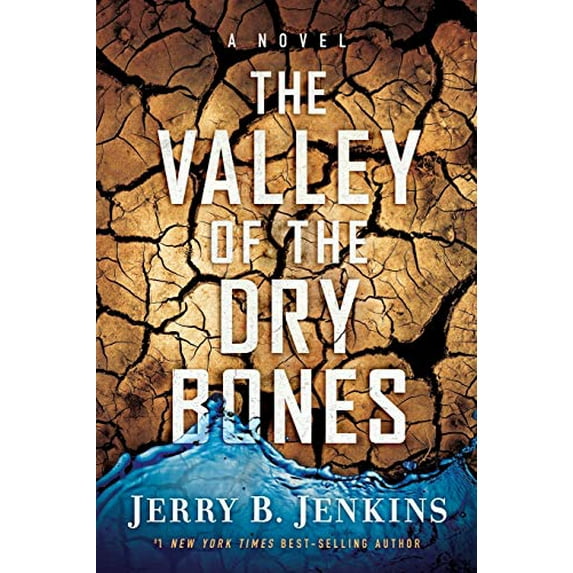 Pre-Owned The Valley of Dry Bones (Paperback) 1617950084 9781617950087