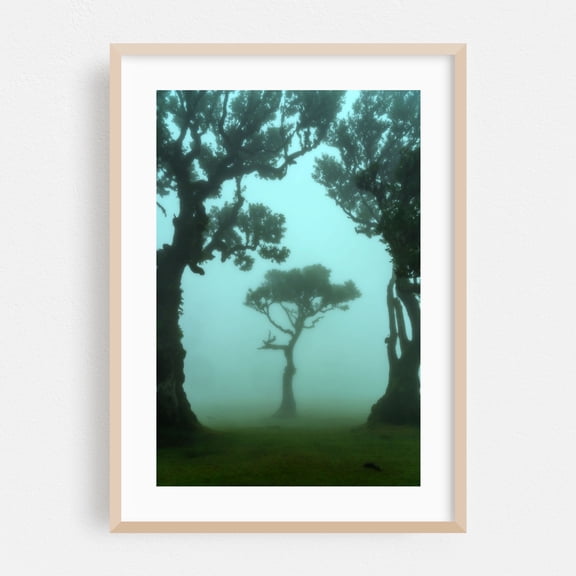 The Valley of Lost Souls - Fanal Laurel Forest of Madeira Island 1 - Madeira Portugal Photography Oak Framed Wall Art Print 12 x 18 inches