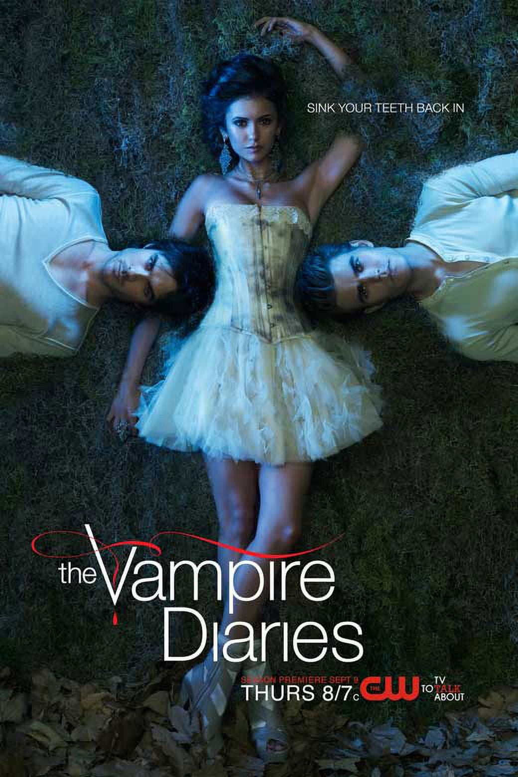 vampire diaries season 5 poster
