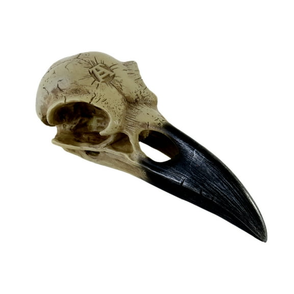 The Vault Halloween Party Corvus Alchemia Skull