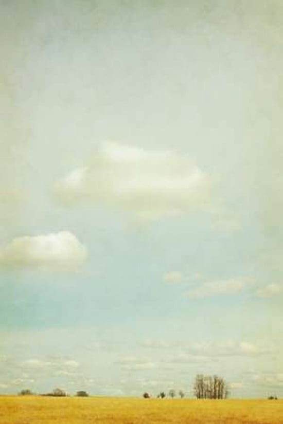 The Vaulted Sky Canvas Art - Roberta Murray (12 x 18)