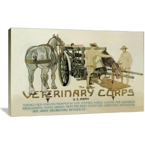The Veterinary Corps. U.S. Army 30" x 20" Gallery Wrapped Canvas Wall Art