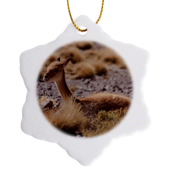 3drose, the Vicuna Is One of Two Wild Camelids, Andes, Peru, 3 inch Snowflake Porcelain Ornament