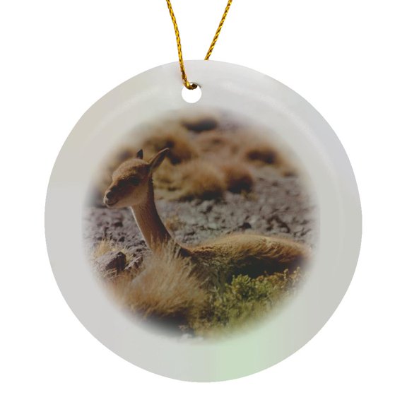 3drose, the Vicuna Is One of Two Wild Camelids, Andes, Peru, Circle Porcelain Ornament
