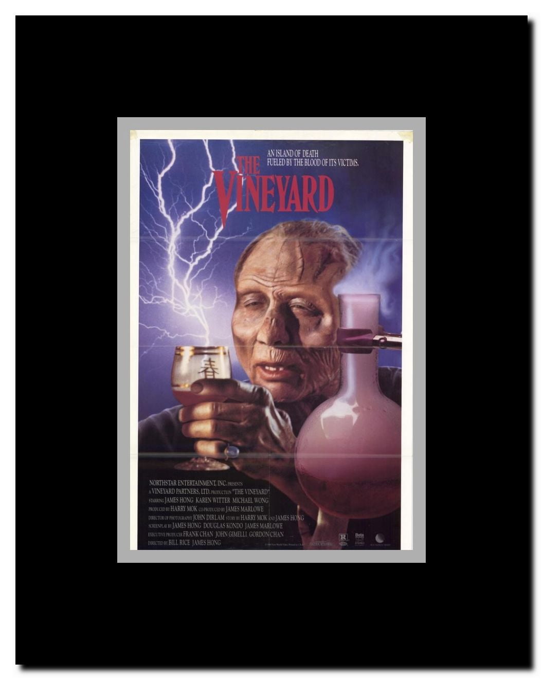 The Vineyard Framed Movie Poster