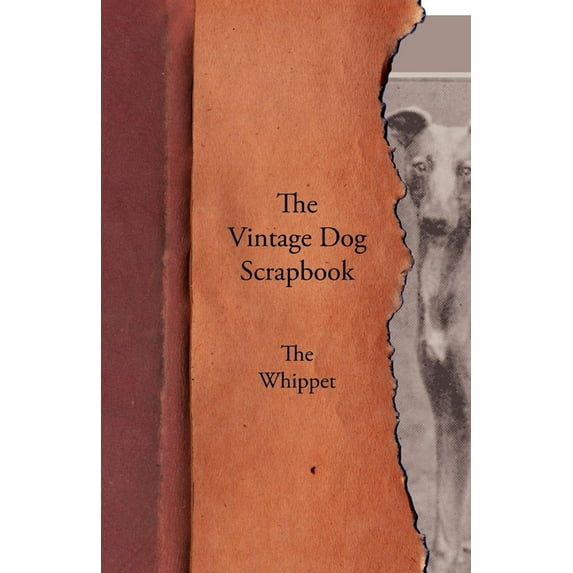 The Vintage Dog Scrapbook - The Whippet (Paperback)