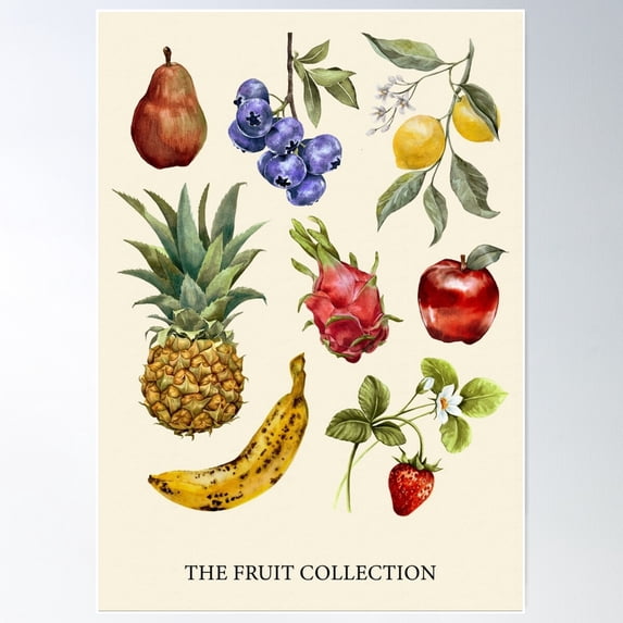 The Vintage Fruit Collection Poster Wall Art, Modern Wall Decor For Living Room Bedroom, 24x36 UNFRAMED