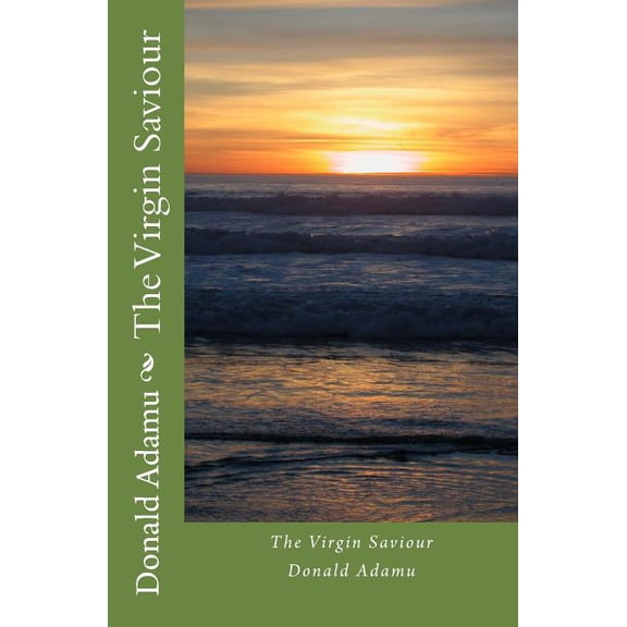 The Virgin Saviour (Paperback)