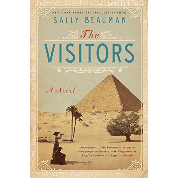 Pre-Owned The Visitors (Paperback) 0062302701 9780062302700