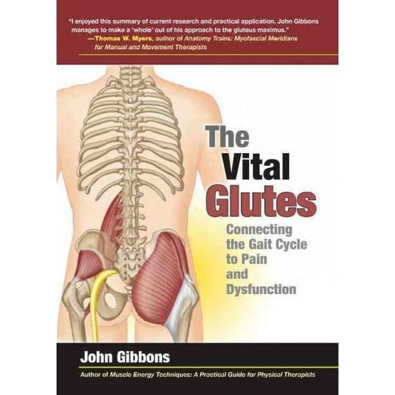 The Vital Glutes : Connecting the Gait Cycle to Pain and Dysfunction (Paperback)