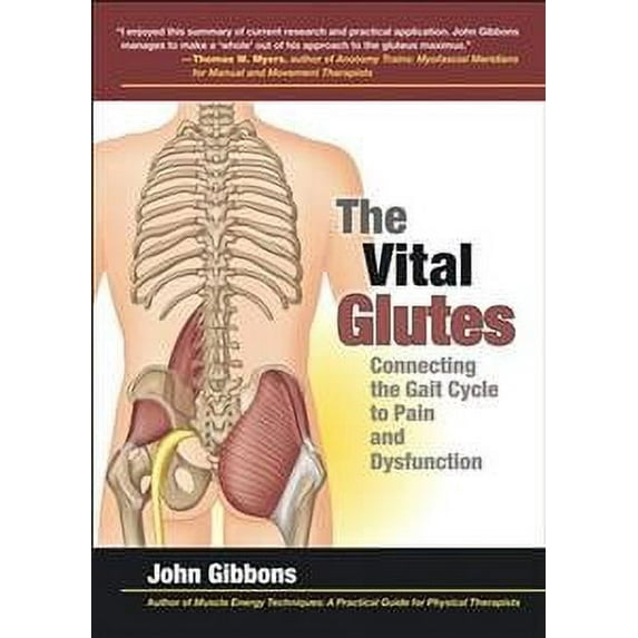 The Vital Glutes John Gibbons (Paperback)