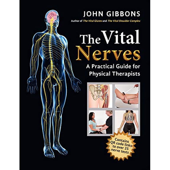 The Vital Nerves : A Practical Guide for Physical Therapists (Paperback)