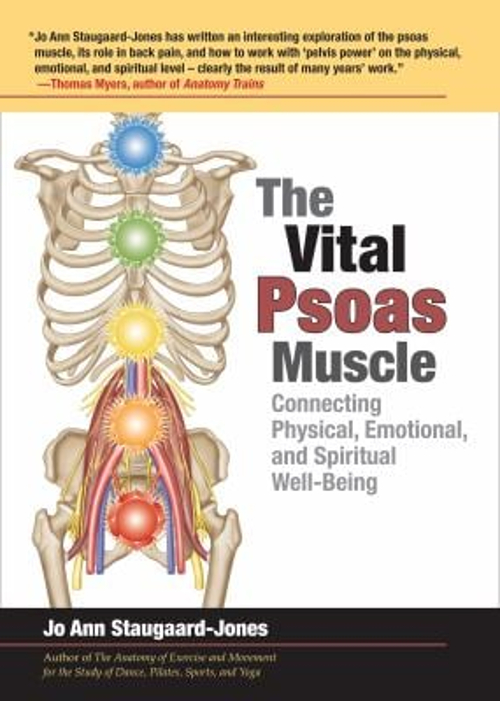 The Vital Psoas Muscle : Connecting Physical, Emotional, and Spiritual Well-Being (Paperback) - image 1 of 1