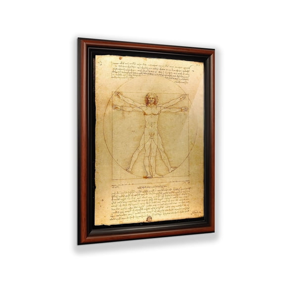 The Vitruvian Man Leonardo Da Vinci, World Famous Wall Art Collection, Fine Art Drawing, Framed Medical Posters for Your Medical Office Decor, Proportions of The Human Figure Drawing, 11x14, 2453W