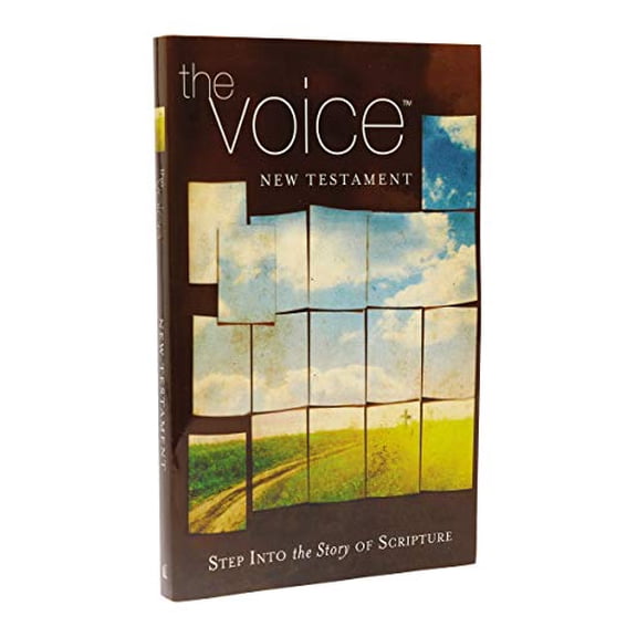 Pre-Owned Voice New Testament-VC: Step Into the Story of Scripture (Paperback)