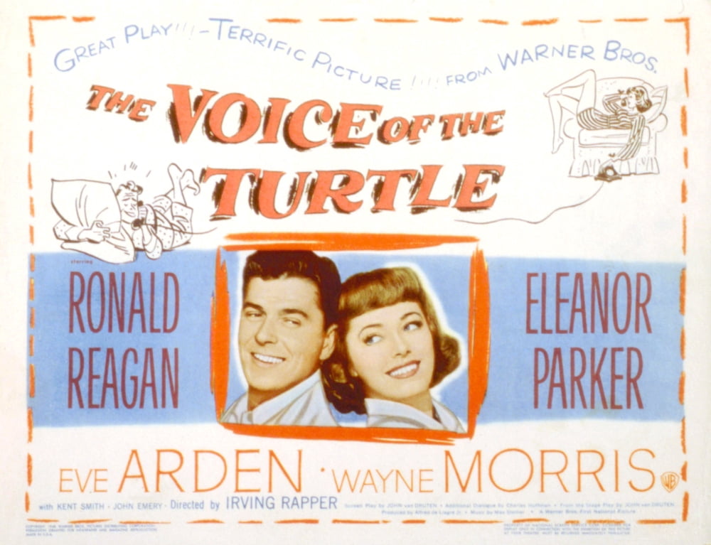 The Voice Of The Turtle Canvas Art - (28 x 22)