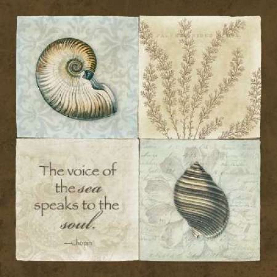 The Voice of the Sea Canvas Art - Stephanie Marrott (24 x 24)