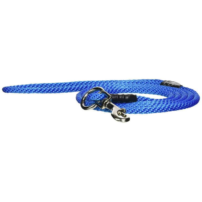 The walkie leash 2025