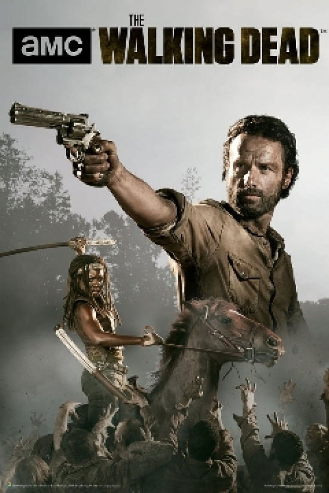 The Walking Dead Season 4 - Rick And Michonne Poster (24 X 36)