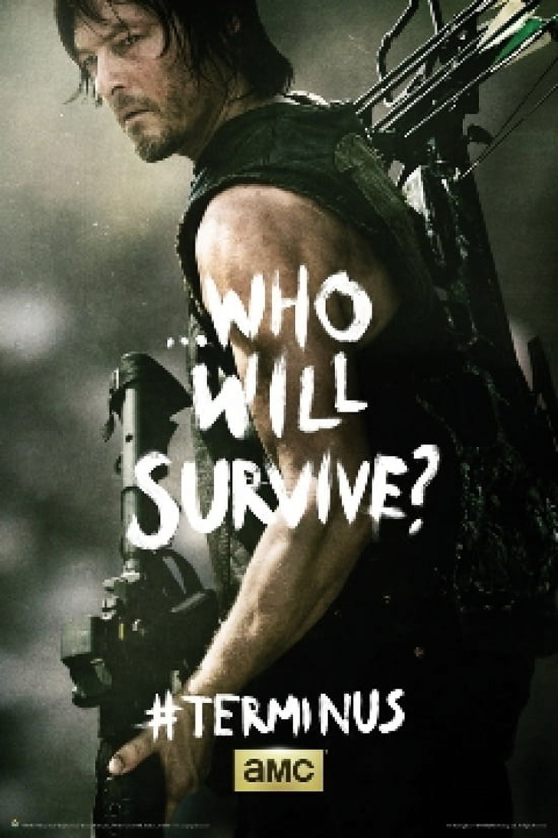  The Walking Dead Season 1 2 3 4 poster 36 inch x 24