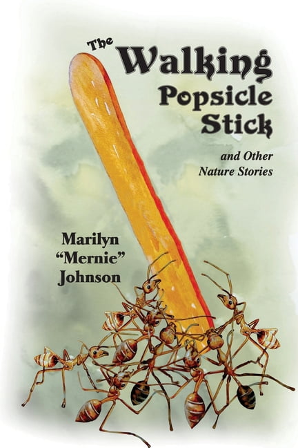 The Walking Popsicle Stick: Fun Adventures in Nature's Classroom, (Paperback)