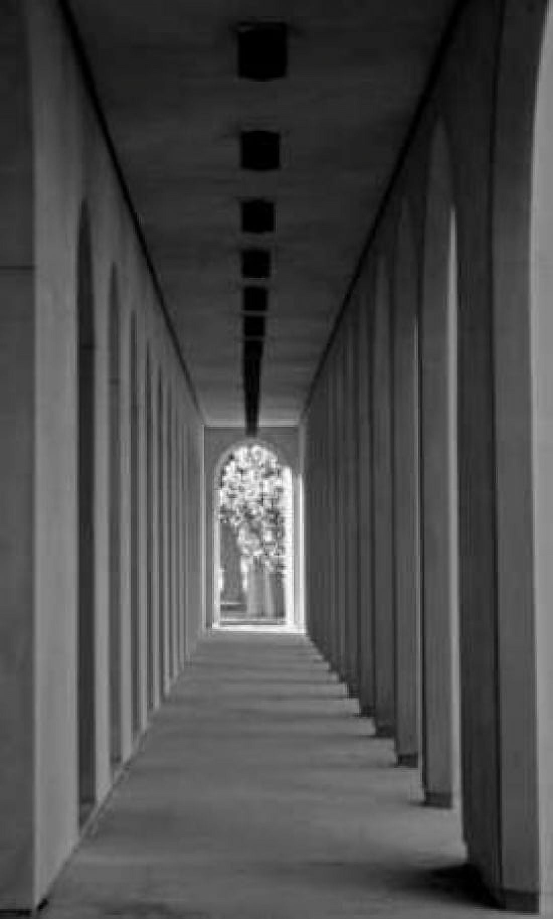 The Walkway Canvas Art - Tammy Putman (24 x 36)