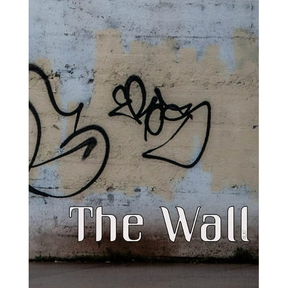 The Wall: 15 Days Quarantine, BJS Photography, (Paperback)