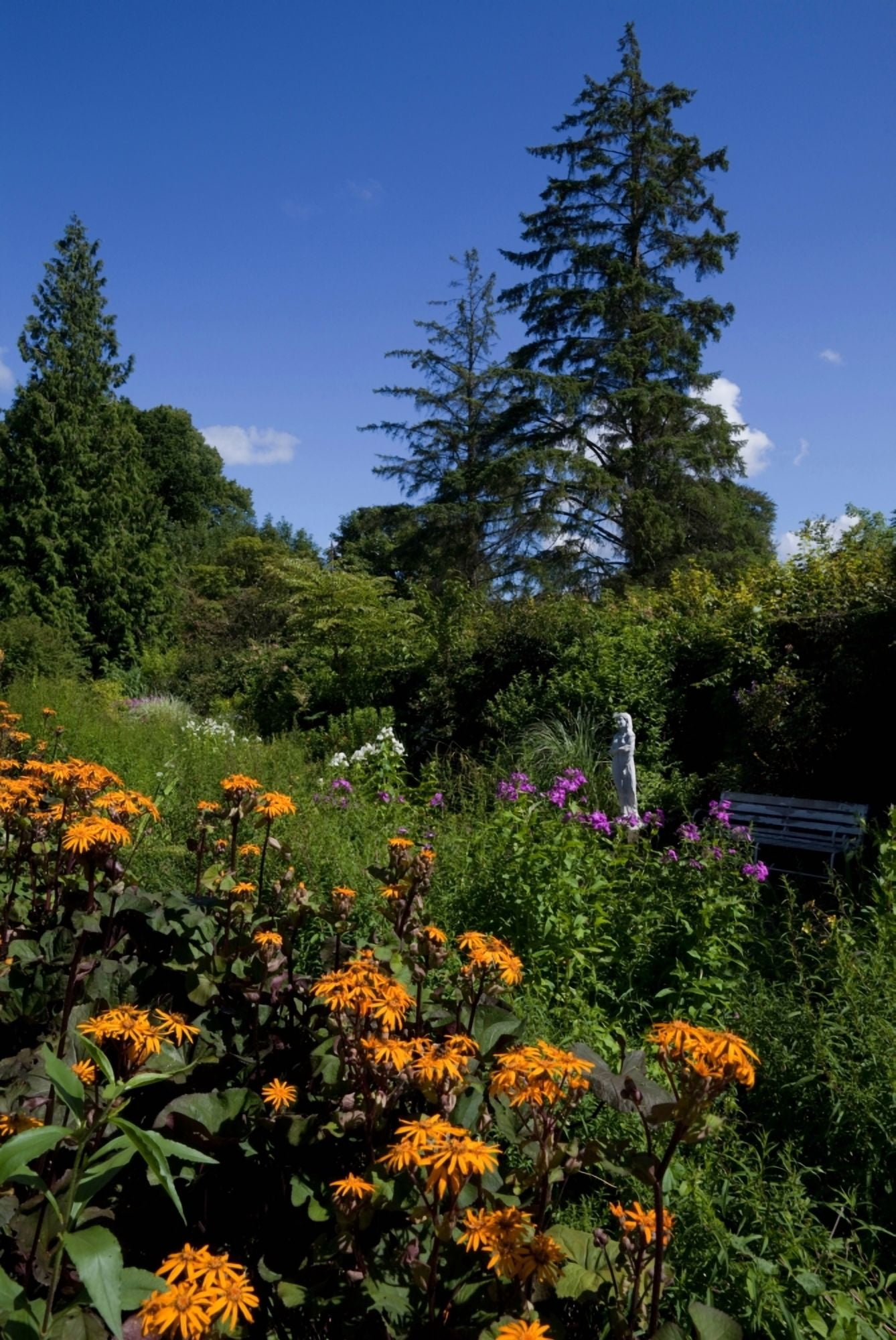 The Walled Garden Belvedere House Mullingar County Westmeath Ireland Canvas Art - Panoramic Images (36 x 12)