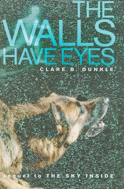 The Walls Have Eyes (Hardcover) - image 1 of 1