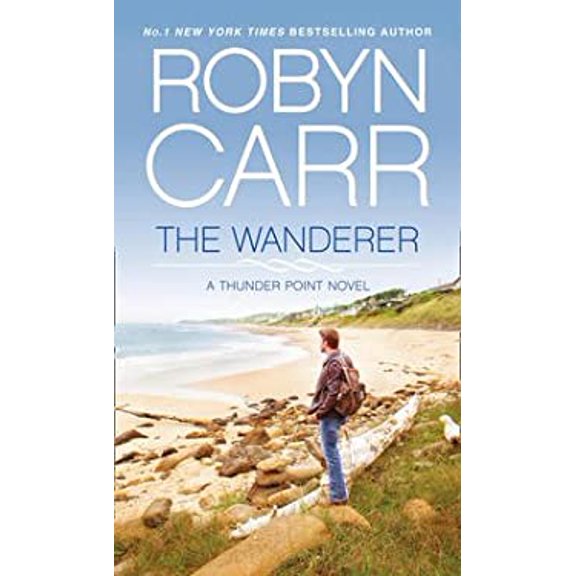 Pre-Owned The Wanderer (Hardcover) 1624902677 9781624902673