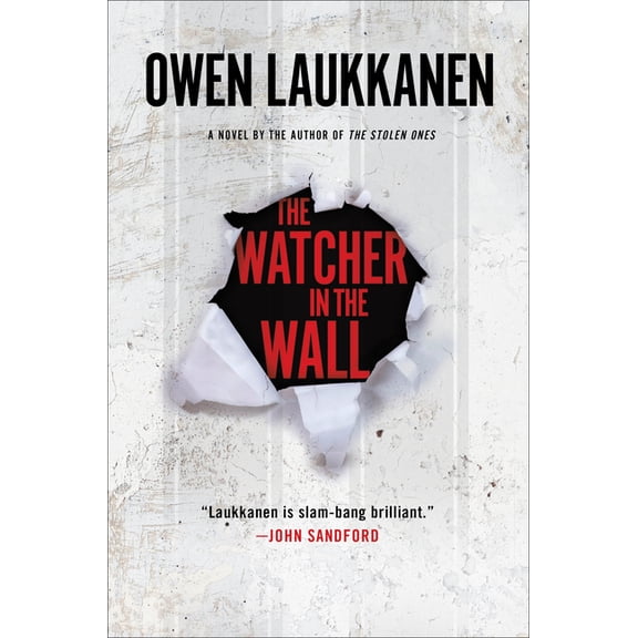 The Watcher in the Wall, (Paperback)