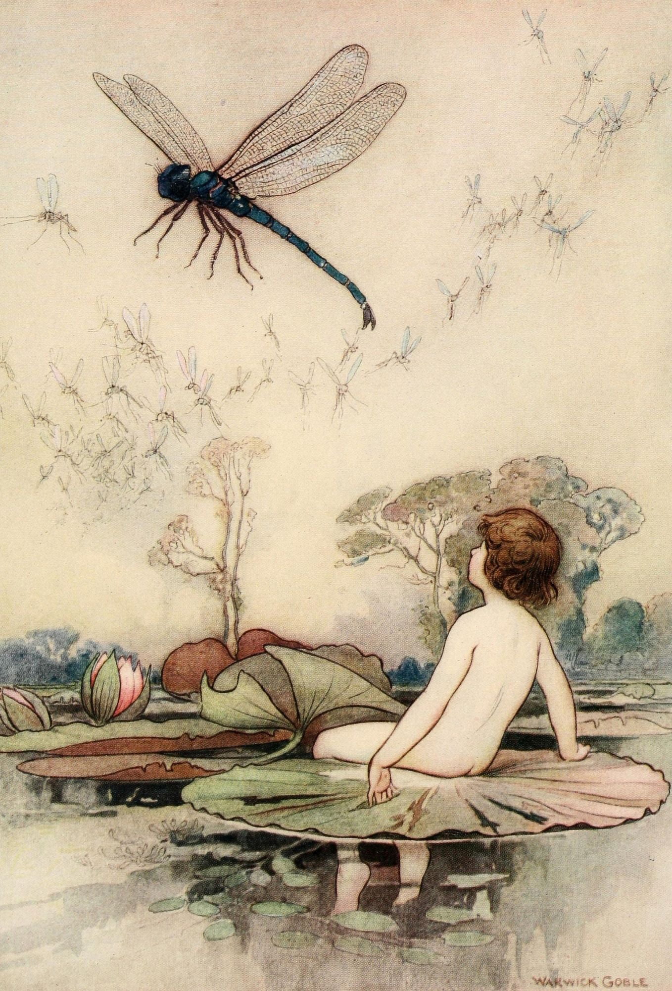 The Water-Babies 1909 A Dragonfly Canvas Art - Warwick Goble (24 x 36)