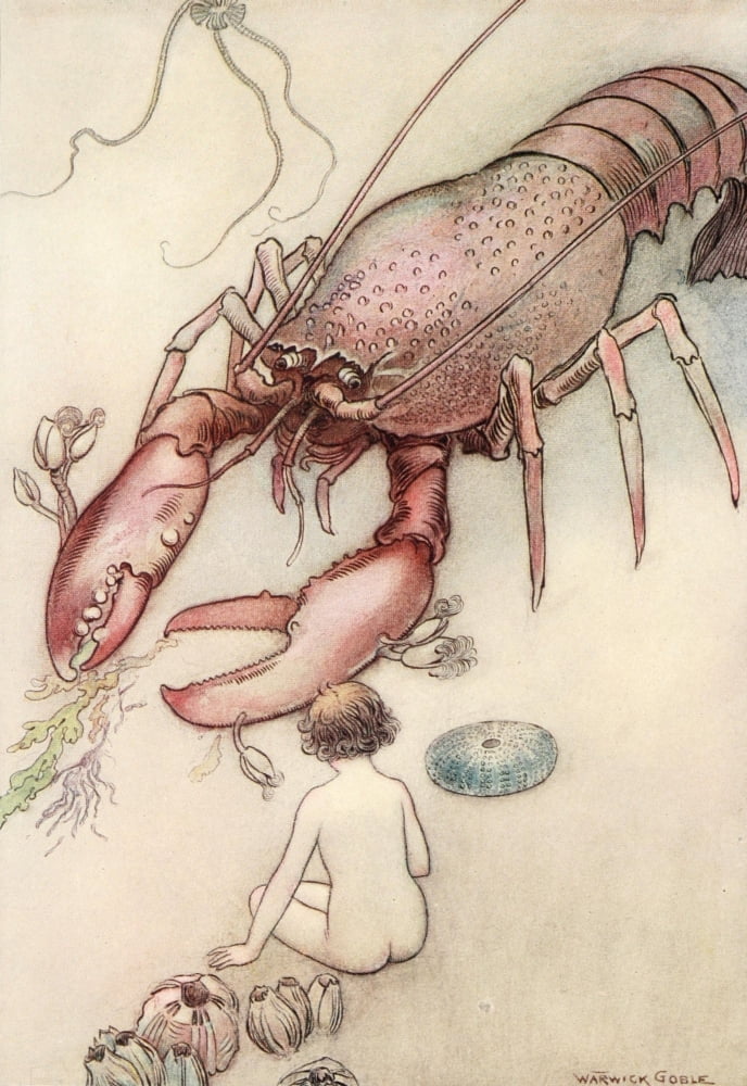 The Water-Babies 1909 Tom had never seen a lobster before Canvas Art - Warwick Goble (24 x 36)