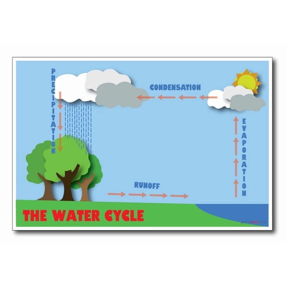 The Water Cycle - NEW Meteorology Science Poster