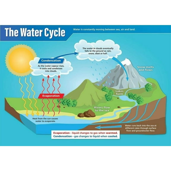 The Water Cycle Science Classroom Poster STEM Middle & High School Class Decoration