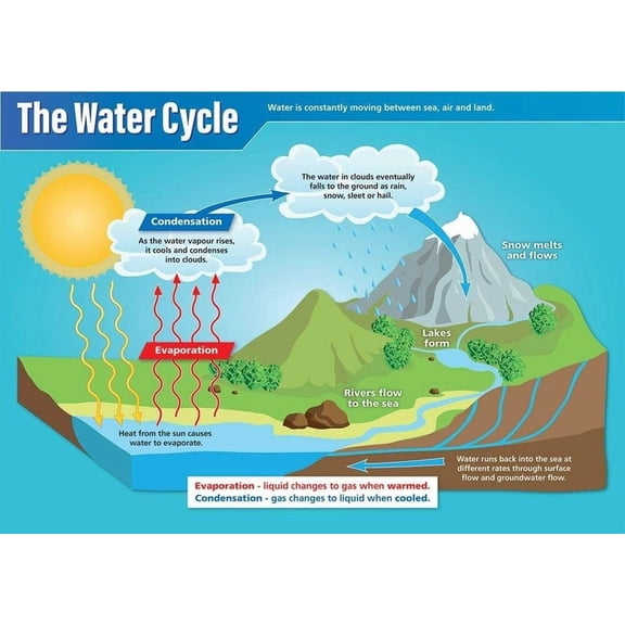The Water Cycle Science Poster STEM Middle & High School Classroom Decoration poster Unframed12x18inch(30x45cm)