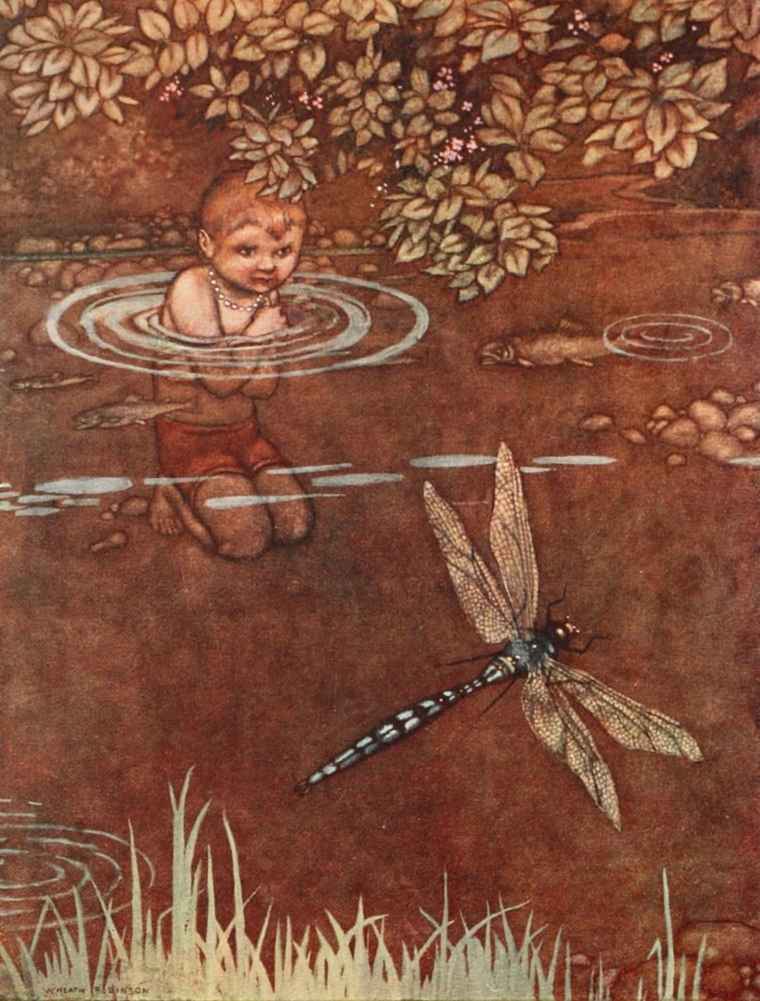 The Water-babies 1915 Fine colours & large wings Canvas Art - W Heath Robinson (18 x 24)