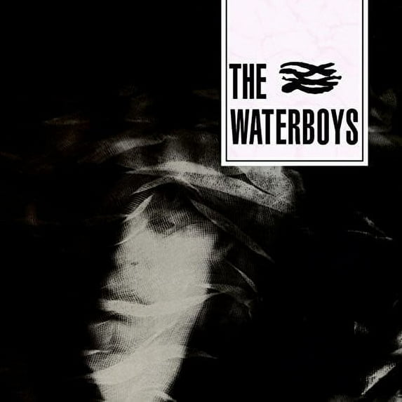 The Waterboys - Waterboys - Music & Performance - CD