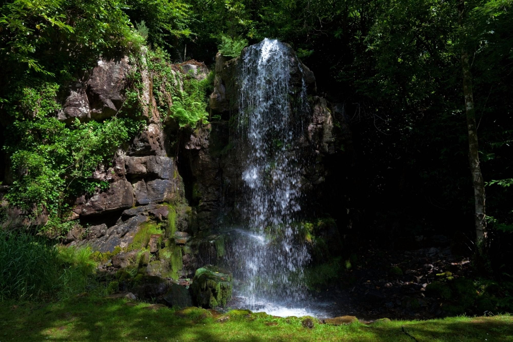 The Waterfall Kilfane Glen and Garden County Kilkenny Ireland Canvas Art - Panoramic Images (36 x 12)