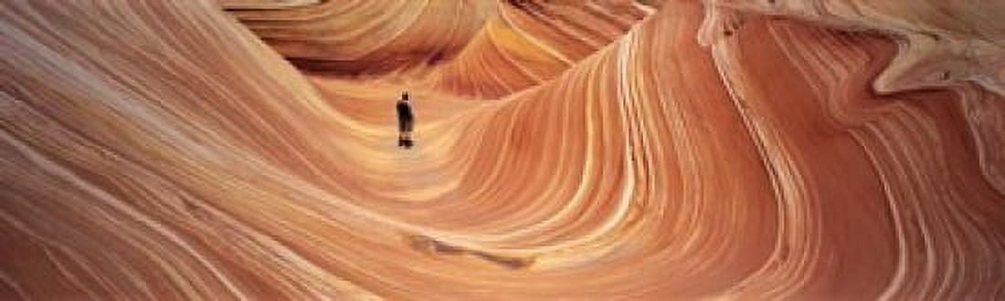 The Wave Coyote Buttes Pariah Canyon AZUT USA Canvas Art - Panoramic Images (15 x 5)