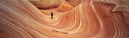 The Wave Coyote Buttes Pariah Canyon AZUT USA Canvas Art - Panoramic Images (38 x 12)