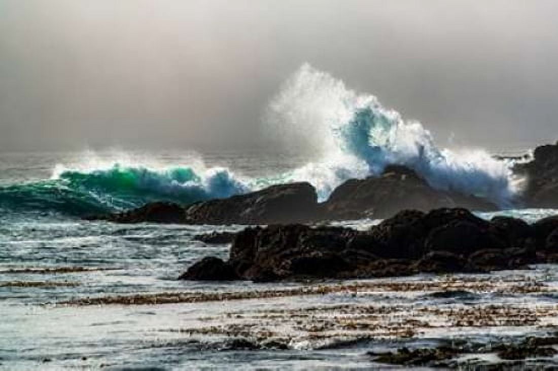 The Wave Long Beach Canvas Art - Vladimir Kostka (24 x 36)