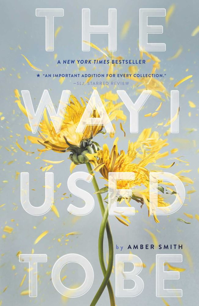 The Way I Used to Be (Paperback)